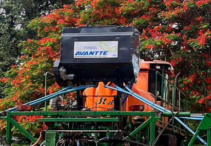 avantte